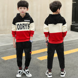 Children Tracksuit Sport Set Hooded Coat Pants Kids Boys Baby Autumn Clothes Suit Costume Sports Suit for A Boy Girls Clothes