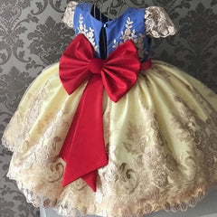Girls Princess Kids Dresses for Girls Tutu Lace Flower Embroidered Ball Gown Baby Girls Clothes Children Wedding Party Dress